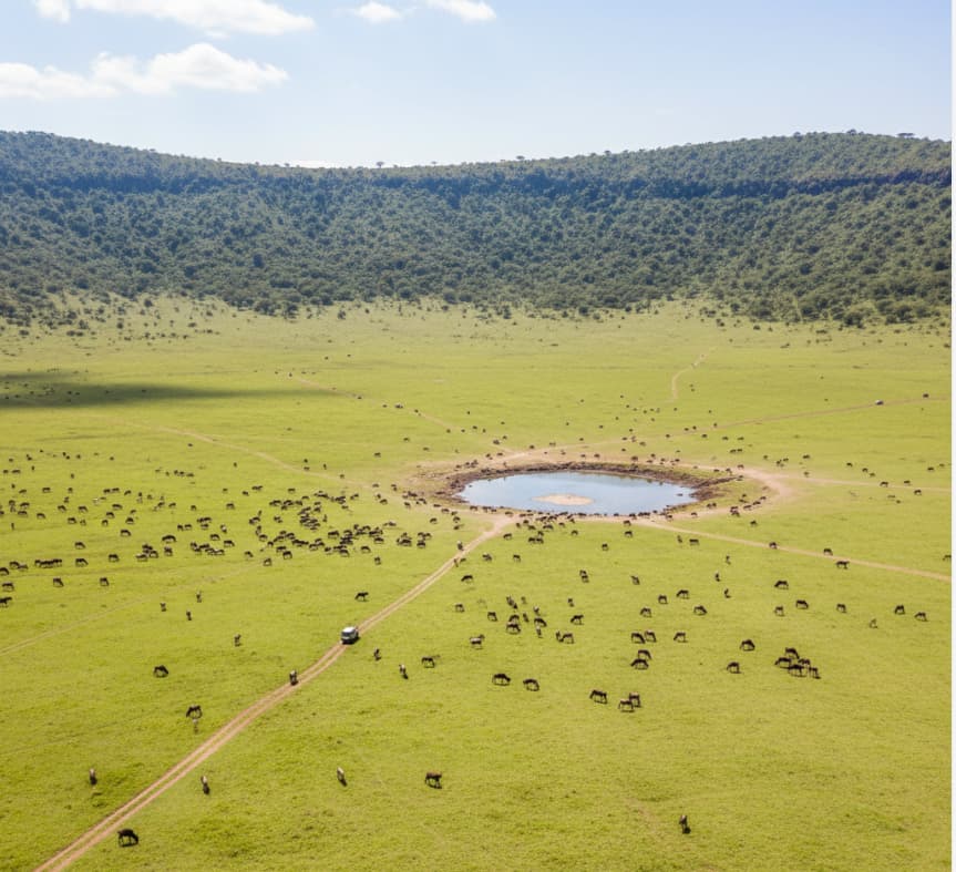 Panoramic view of the Ngorongoro Crater floor with grazing wildebeest, zebra and a hippo pool in Tanzania