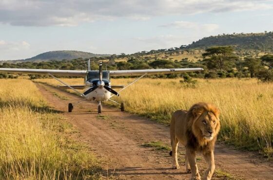 3 Days Masai Mara Flying Package