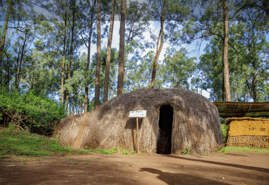 bomas of kenya visitation