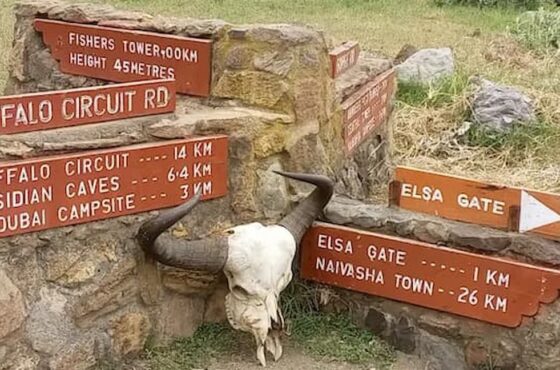 Nairobi –Lake Naivasha – Cresent Island- Hell’s Gate