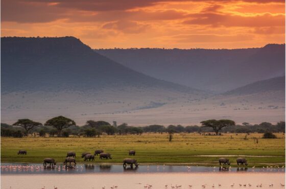 2 Days Lake Nakuru & Lake Naivasha Safari from Nairobi – See Flamingos, Rhinos & Lakeside Beauty