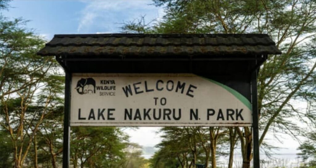 Lake Nakuru National Park Gates: Which Entrance Should You Use? (2026 Guide) 2 Main Gate entrance to Lake Nakuru National Park in Kenya, showing the KWS entry point and safari vehicle access