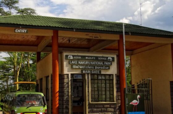 Lake Nakuru National Park Entry Fees: Updated KWS Rates & Payment Guide