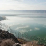 Panoramic aerial view of the best viewpoints in Lake Nakuru National Park in 2026.