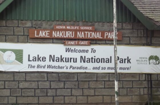Lake Nakuru National Park Gates: Which Entrance Should You Use? (2026 Guide)