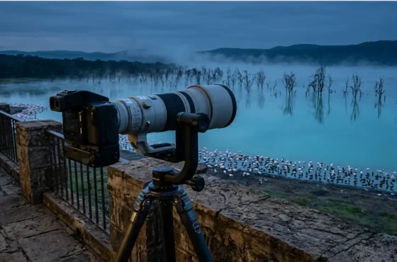5 Best Lake Nakuru Lodges for Wildlife Photography: A 2026 Pro-Lens & Logistical Comparison