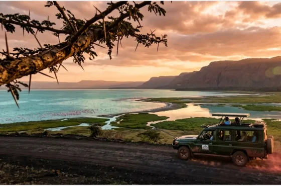 The Best Safari Lodge in Lake Nakuru: A 2026 Operator’s Verdict (And Why the “Old Lists” are Wrong)