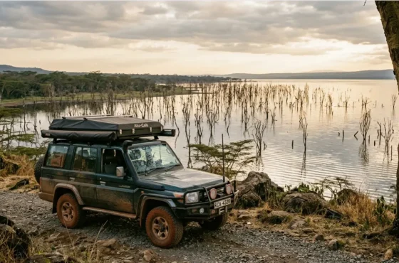 Lake Nakuru Camping 2026: The “Public vs. Special” Reality Check