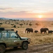 Safari vehicle at sunrise in Masai Mara, planning for 2026 park entry costs.