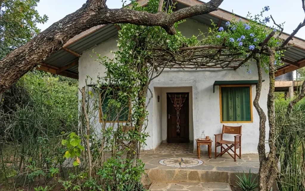 Exterior view of a whitewashed stone cottage at Talek Bush Camp with a thatched trellis and purple flowering vines.