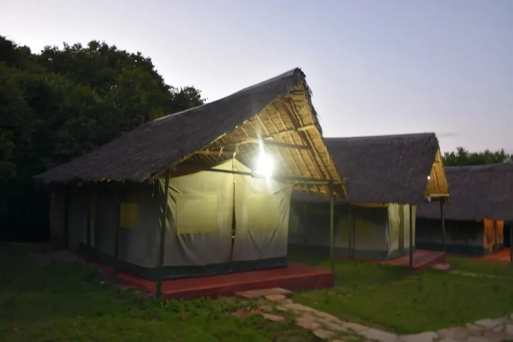 Best Budget Masai Mara Camps 2026: The Gate Proximity Guide 4 Exterior view of permanent canvas tents with thatched roofs at budget camps in masai mara