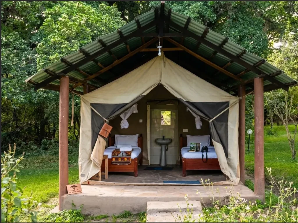 Best Budget Masai Mara Camps 2026: The Gate Proximity Guide 7 Front view of a rustic permanent safari tent under a green metal roof shelter at budget camps in masai mara