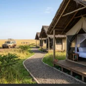 Permanent safari canvas tents with thatched roofs overlooking the savanna plains at the best budget masai mara camps