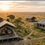 Authentic view of elevated mid-range safari tents at a camp located deep inside the Masai Mara reserve, overlooking the golden savanna with distant wildlife.