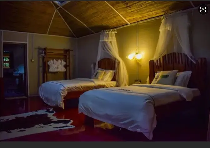 Interior view of a twin bedroom setup at Mara Chui Eco-Resort featuring wooden headboards, hanging mosquito nets, and ambient wall lighting.